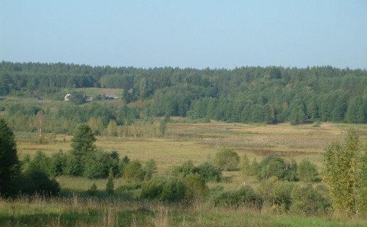 16_Skerdzimų pieva Lapelės foto.jpg